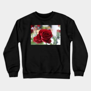 A Gorgeous Rose Crewneck Sweatshirt
